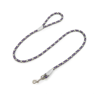 Laisse pour chien moderne, durable et flexible avec crochet, en nylon de haute qualité, idéale pour les promenades au parc et à la plage
