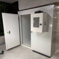Unit pendingin Monoblock Mini 10m3 ruang dingin Harga Panel Pu ruang dingin
