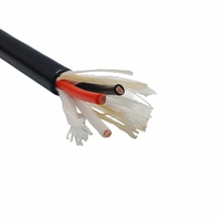 Maßgefertigte TPU-Ummantelung 300/500V Flexibles Roboterkabel Blankkupfer Schleppkette Industrielle Automatisierungsausrüstung