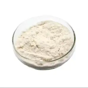 Best Price Natural Epicatechin Extract Food Supplement Epicatechin-powder