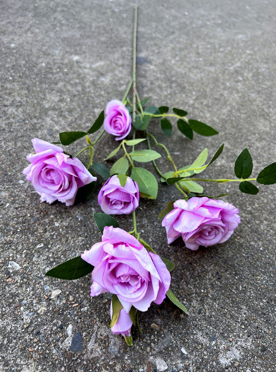 12#Corolle à 6 têtes rose violet