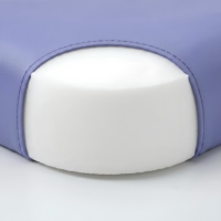 Mesa de Masaje Ergonómica Moderna, Compacta y Plegable, Altura Ajustable, Cuero PU, Espuma de Alta Densidad, Bolsa de Transporte para Servicios de Belleza