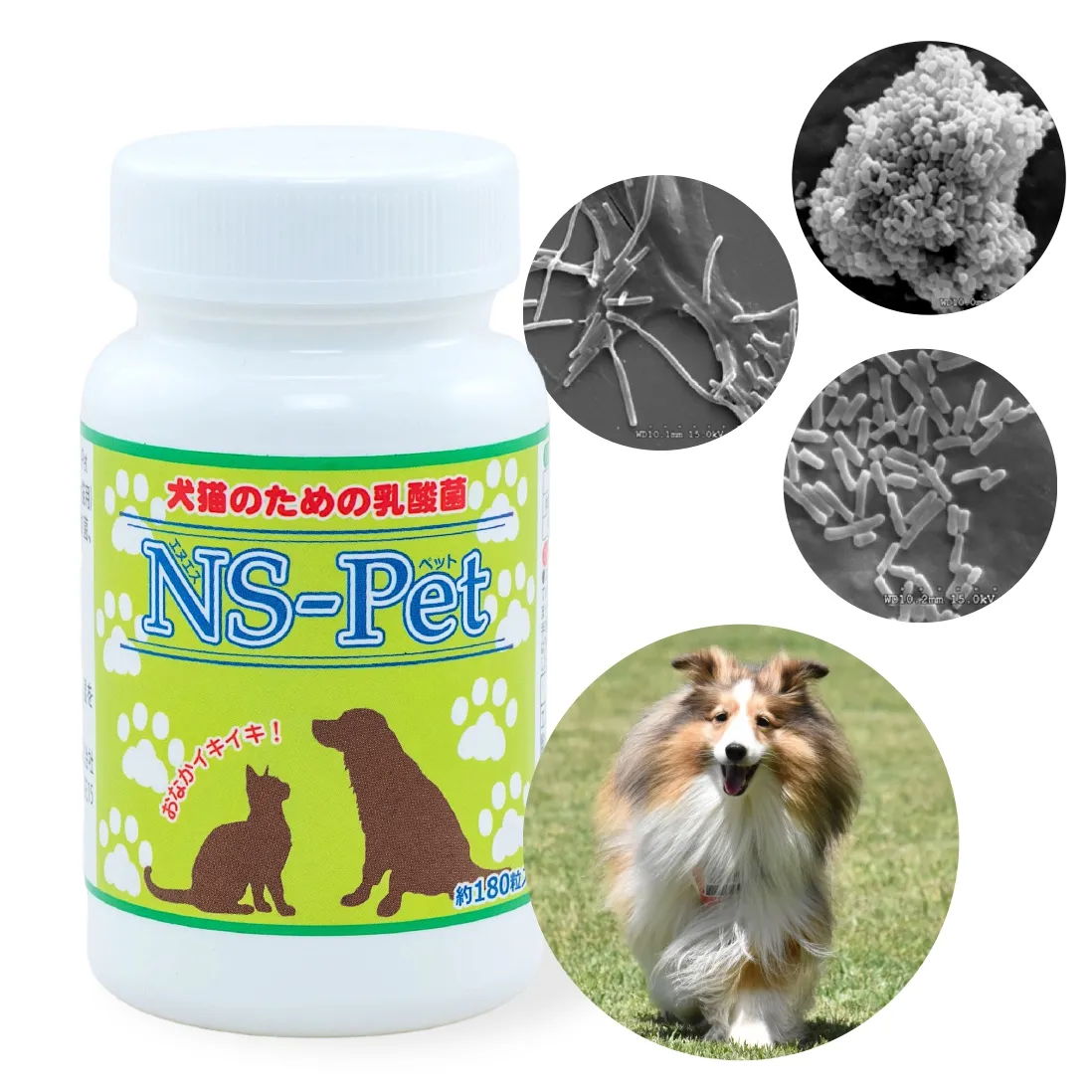แบคทีเรียกรดแลคติกสำหรับสุนัขและแมว NS-Pet "อาหารเสริมสำหรับสุนัขและแมว