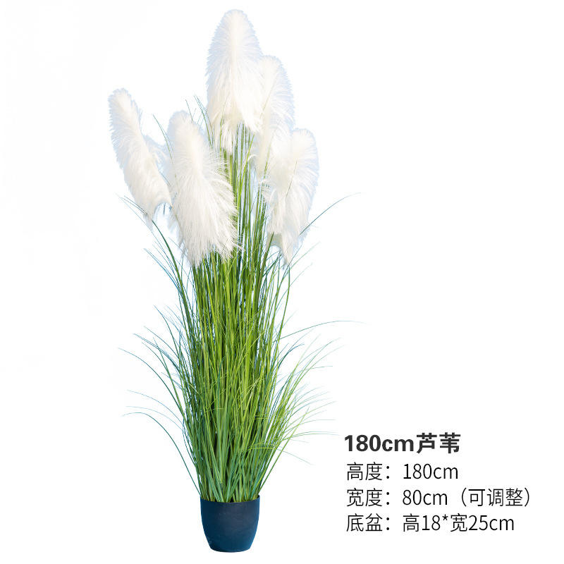 180 centímetros cúbicos