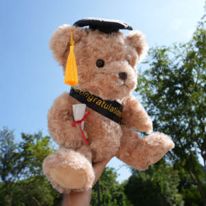 Ours en peluche de graduation, peluche douce avec chapeau et écharpe, cadeau de graduation pour félicitations, jouet pour cérémonie de remise de diplôme, brun - Product Image 4
