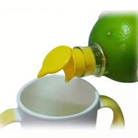 Nouveaux produits chimiques ménagers durables et multi-usages pour citrons et oranges
