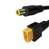 Câble LanLin en plastique durable 1,5 m DC8MM mâle vers XT60 mâle 14AWG, faisceau de connexion d'alimentation XT60 mâle pour stockage d'énergie