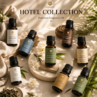 10ML Premium Aromaöl Langanhaltender Duft für Aroma-Diffusor Reed-Diffusor Hotel Zuhause Spa Private Label Fabrik
