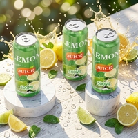 Eau pétillante aromatisée au pamplemousse exotique, boisson gazeuse, fabricant OEM ODM, marque privée, échantillon gratuit, sans sucre, certifié HALAL