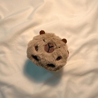 Housse de protection en peluche mignonne Capybara pour Pods, housse pour écouteurs, 2e et 3e générations