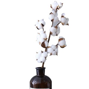 Ramo de Algodón Seco Artificial, Flor de Algodón de una o Varias Cabezas, Decoración para el Hogar, Adornos, Accesorios de Fotografía - Product Image 5