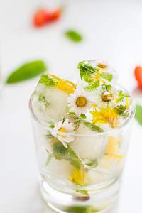 Tè biologico/EU/CN alla menta piperita tè alle erbe importato <span class=keywords><strong>tisana</strong></span> infuso freddo tè sfuso - Product Image 6