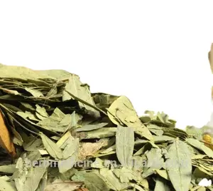 Fan xie ye foglia di angustifolia naturale secca verde grezza per tè