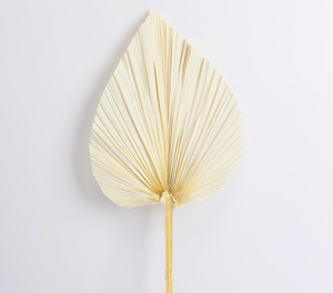 Assiettes <span class=keywords><strong>de</strong></span> décoration <span class=keywords><strong>de</strong></span> mariage élégantes feuilles <span class=keywords><strong>de</strong></span> palmier séchées <span class=keywords><strong>de</strong></span> couleur naturelle fleurs d'eucalyptus mariage élégant fête des mères noël - Product Image 6