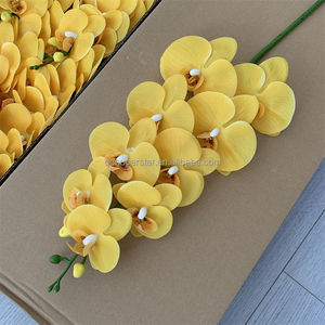 <span class=keywords><strong>Orchidée</strong></span> <span class=keywords><strong>Phalaenopsis</strong></span> <span class=keywords><strong>jaune</strong></span> haut de gamme en latex B-802, fleurs au toucher réel, <span class=keywords><strong>tige</strong></span> unique, 9 têtes, grande branche d'<span class=keywords><strong>orchidée</strong></span> <span class=keywords><strong>Phalaenopsis</strong></span> - Product Image 1
