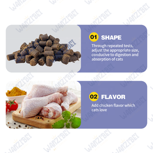 OEM ODM Private Label Pet Food multivitaminico Soft mastica per gatti integratore alimentare-forte immunità e supporto alla digestione - Product Image 3