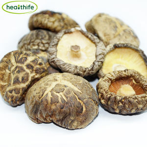 Порошок грибов Healthife NOP & EU Lentinus Edodes, органический порошок грибов шиитаке - Product Image 3