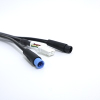 2.0MM JST pria ke Wanita konektor sisi ganda 2/3/4 Pin PH terminal PVC kabel tembaga terisolasi Harness untuk mobil