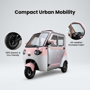 Tricycle électrique fermé pas cher, tricycle à assistance électrique, double usage pour le transport de passagers et de marchandises à domicile, vélo électrique à 3 roues - Product Image 4