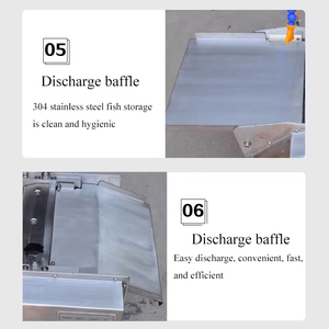 물고기 필러 기계 작은 물고기 스키닝 기계 테이블 상단 물고기 필링 기계 - Product Image 5