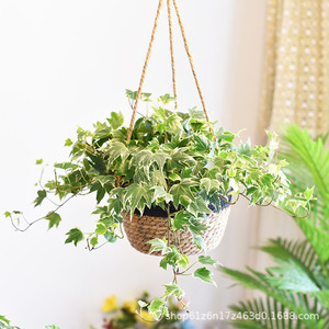 Pot de fleurs suspendu rond en matériau végétal pour plantes d'intérieur, jardinières décoratives - Product Image 1