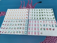 Mahjong Akrilik Putih Motif Bunga Botani Lucu 160 Ubin Kustom Warna-warni Gecko Joker Naga Bambu Dot