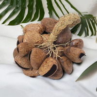 Pengocok Biji Cangkang Kacang Alami, Alat Perkusi Tangan, Hadiah, Pengocok Cangkang Biji Panji, Instrumen Penyembuhan Suara, Aksesoris