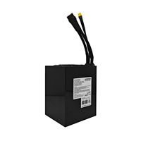 Paquete de Baterías de Litio AMORGE 72V 28AH 170AMP con BMS ANT Bluetooth