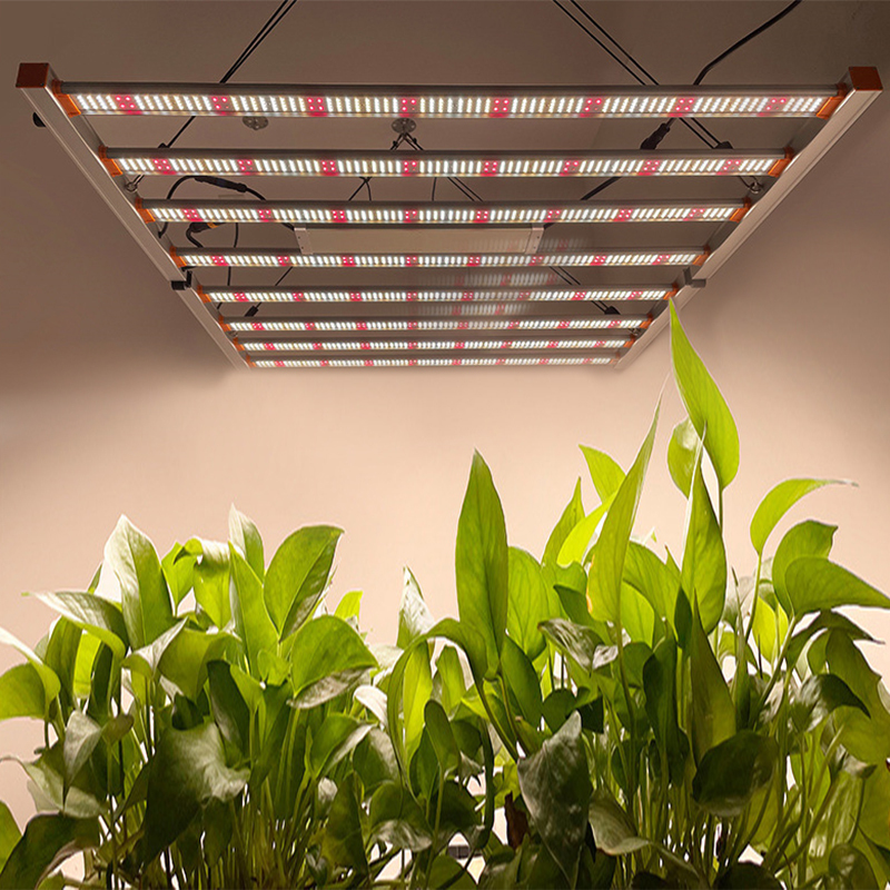USB Operated Full Spectrum 5W LED
