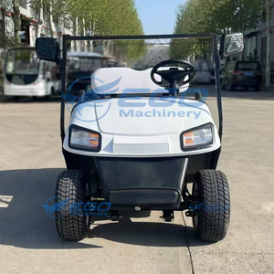 Multi-functional Electric Golf Cart 2-seater with Lithium <b>Battery</b> 30-40Km/h Speed 80-100km Range - Product Image 6