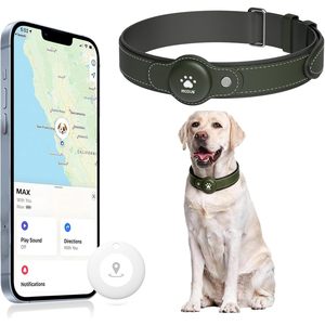 ปลอกคอสุนัขอัจฉริยะ Modus พร้อม GPS Tracker 4G กันน้ำ ติดตามตำแหน่งแบบเรียลไทม์สำหรับสัตว์เลี้ยง รองรับ iOS ไม่มีค่าบริการรายเดือน - Product Image 1