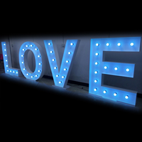 Lettres d'ampoule au néon LED personnalisables pour la publicité et la décoration intérieure