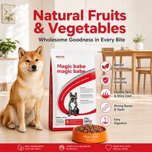 Magic Babe Cibo <span class=keywords><strong>Secco</strong></span> per Cani con 48% di Carne Fresca Senza Cereali, Sacco da 20kg, Per Tutte le Razze e Tutte le Fasi della Vita, Alto Contenuto Proteico - Product Image 1