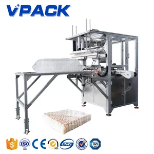 4000BPH Empty Bottle Bag Packing Machine 2024 New Packing Machine Hot Sale Factory Price