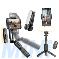 CYKE NOUVEAU Q09 Stabilisateur de téléphone pour selfie avec trépied, lumière d'appoint amovible, perche à selfie et télécommande