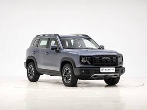 MEILLEUR PRIX Haval Big Dog Modèle 2026 1.5T DCT Édition <span class=keywords><strong>Border</strong></span> <span class=keywords><strong>Collie</strong></span> - Product Image 3