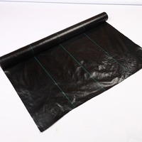 Toile de paillage PP / Tissu pour jardin et agriculture avec service de découpe