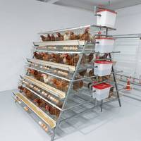 Cage à poules pondeuses de type A efficace, équipement de cage en batterie galvanisée pour l'élevage commercial moderne de volailles pondeuses