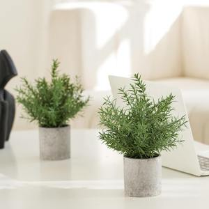 Plantes artificielles transfrontalières Wwyg très vendues : <span class=keywords><strong>Eucalyptus</strong></span> et Romarin en <span class=keywords><strong>pot</strong></span>, écologiques, pots cylindriques en plastique vert de 30 cm - Product Image 1