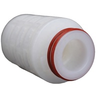 Filtre en Nylon66 de 2,5 pouces et 0,45 µm pour l'analyse microbienne haute performance, destiné aux tests d'eau potable et de boissons au point d'utilisation