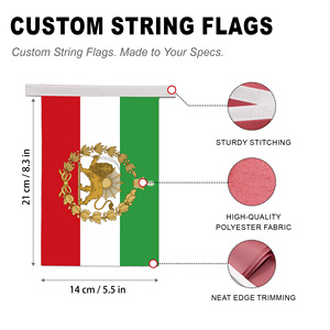 Guirnalda de Banderines Clásicos Tricolor de la Bandera de Irán, 20 Piezas, con Diseño de León, Sol y Corona Real - Product Image 2