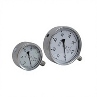 Manomètre en acier inoxydable de la marque BLD, série YTHN, fabrication chinoise, protection IP65/IP66, plage de mesure 250 MPa, pour applications chimiques et pétrochimiques