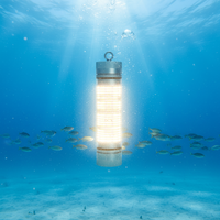 Lampe de pêche LED sans fil puissante 100W 200W 600W, étanche IP68, en alliage d'aluminium, bleue, verte, jaune, multicolore, pour la pêche au poisson