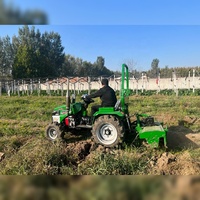 Tractor Agrícola Compacto de 14HP, Mini Tractor Pequeño para Agricultura, Pequeno Trattorino Tagliaerba