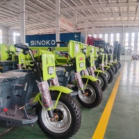 Moto Trike à trois roues Tricycle électrique motorisé Adulte à vendre