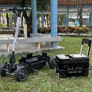 2000W çift motorlu lityum pil 4 tekerlekli tepsi araba elektrikli Scooter elektrikli balıkçılık arabaları arka kamyon kargo EBike - Product Image 3
