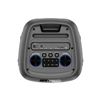 Haut-parleur d'extérieur sans fil Bluetooth grand format avec microphone, portable, rechargeable, RGB, double micros, pour voiture, fêtes en extérieur, camping