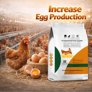 โรงงานผลิต<span class=keywords><strong>อาหาร</strong></span>ผสมสำเร็จรูปสำหรับ<span class=keywords><strong>ไก่</strong></span>ไข่ ช่วยเพิ่มผลผลิตไข่ สารปรุงแต่งอาหาร<span class=keywords><strong>ไก่</strong></span> รับผลิตแบบ OEM - Product Image 4