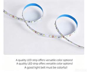 DC12V Tunable Color SMD2835 <b>LED</b> Flexible Strip 8MM PCB width IP20 used for advertising <b>Sign</b> <b>Light</b> Box - Product Image 4