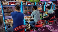 Machines de tir d'arcade, équipement de simulation, tir à l'arc